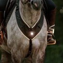 Kavalkade Vorderzeug Horselight Ponny/Vollblut
