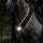 Kavalkade Vorderzeug Horselight Warmblut