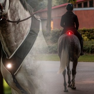 Kavalkade Horselight Set 1 Ponny/Vollblut