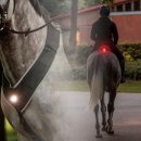 Kavalkade Horselight Set 1 Ponny/Vollblut