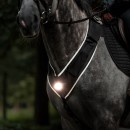 Kavalkade Horselight Set 1 Ponny/Vollblut