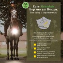 Kavalkade Horselight Set 1 Ponny/Vollblut