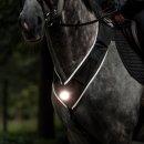Kavalkade Horselight Set 1 Warmblut