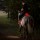 Kavalkade Horselight Set 1 Warmblut