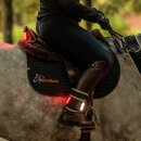 Kavalkade Horselight Set 2 - Warmblut
