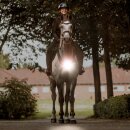 Kavalkade Horselight Set 2 - Warmblut