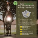 Kavalkade Horselight Set 2 - Warmblut