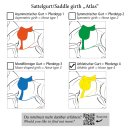 Kavalkade Langgurt geöltes Leder "Atlas" mit Elast