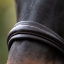 Dressurtrense Zora schwed.-komb.