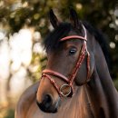 Springtrense Robin engl.-komb.