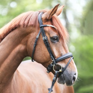 Trense Everlyn schwed.-komb.