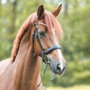Trense Everlyn schwed.-komb.
