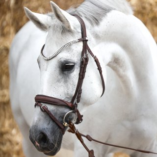 Trense Everness eng.-komb.