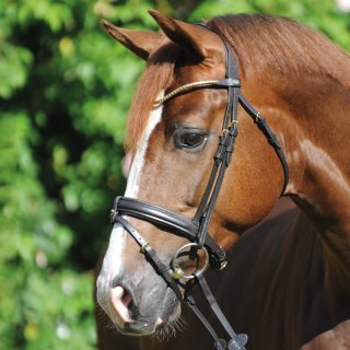 Trense Clinchesse eng.-komb.