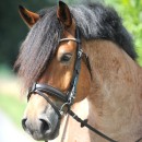 Trense Clinchesse eng.-komb.
