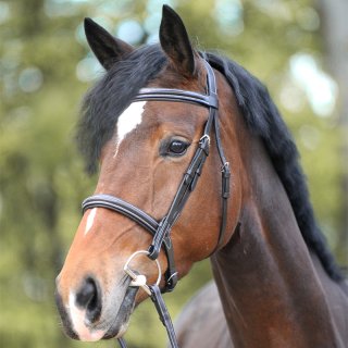 Huntertrense Akila englisch