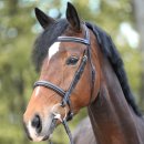 Huntertrense Akila englisch
