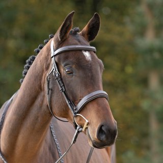 Huntertrense Benita englisch
