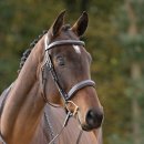 Huntertrense Benita englisch