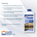 Hauswerk.shop Set Lithofin Allex 1 Liter + 1Liter MN Außenreiniger + Bürste + Haushaltshandschuhe