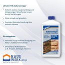 Hauswerk.shop Set Lithofin Allex 1 Liter + 1Liter MN Außenreiniger + Bürste + Haushaltshandschuhe