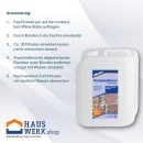 Lithofin Flechtenentferner / 5 Liter Kanister