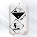 Lithofin ALLEX Grünbelagentferner 10 Liter Kanister