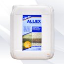 Lithofin ALLEX Grünbelagentferner 5 Liter Kanister