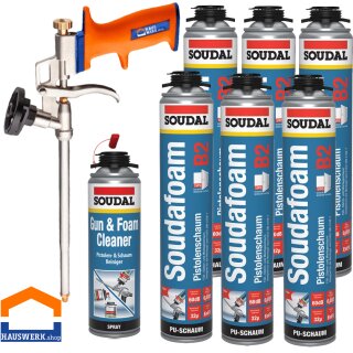 SOUDAL Profi Pistolenschaum GUN B2 / 6 x 750 ml + Pistolenschumreiniger + Schaumpistole