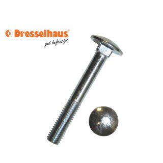 Flachrundschrauben mit Vierkantansatz /