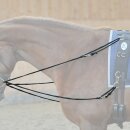 Phillipszügel "Easy" / schwarz / Warmblut