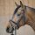 Trense Ivana mit Lack P2 (Endmaßpony)