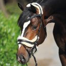 Kavalkade Trense Ivy mit Lammfell / schwarz W (Warmblut)