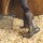 Muck Boots Edgewater II schwarz 44/45